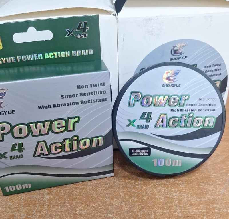 Шнур плетенный 4Х Power Action, 100м, 0,30мм (5/10)
