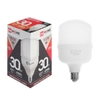Лампа светодиодная высокомощная LED-HP-PRO 30Вт 6500К холод. бел. E27 2850лм 230В IN HOME