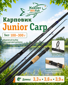 Спиннинг карповый JUNIOR CARP (Roder), 3х частн., 100-300гр, 3,3м (1025)