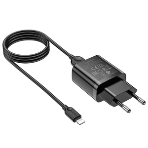 Зарядка Borofone A64A, 2,1A с кабелем Micro, 1 метр