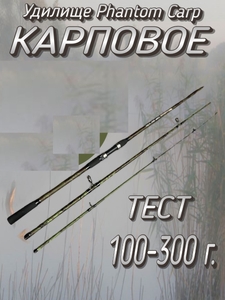 Спиннинг карповый Phantom,3х частн., 100-300гр, 3,3м