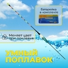 Умный поплавок с датчиком поклевки (с батарейкой) 3гр